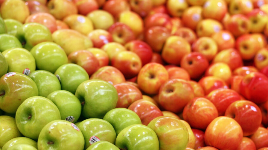 Estudio Sobre Manejo De Manzanas Para Prevenir Daños Por Impacto ...