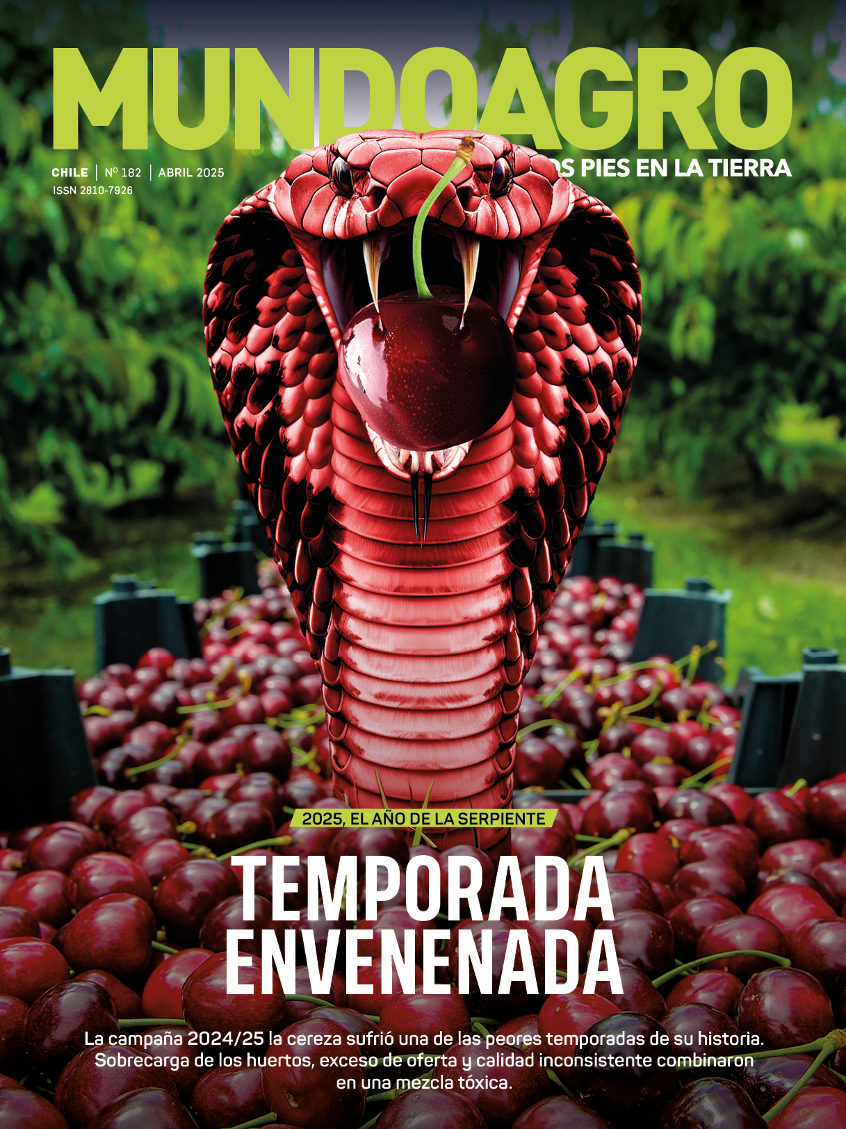 Revista No182